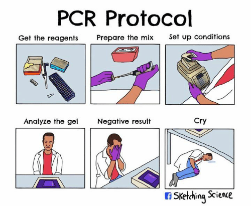 pcr-protocol-get-the-reagents-prepare-the-mix-set-up-27456453