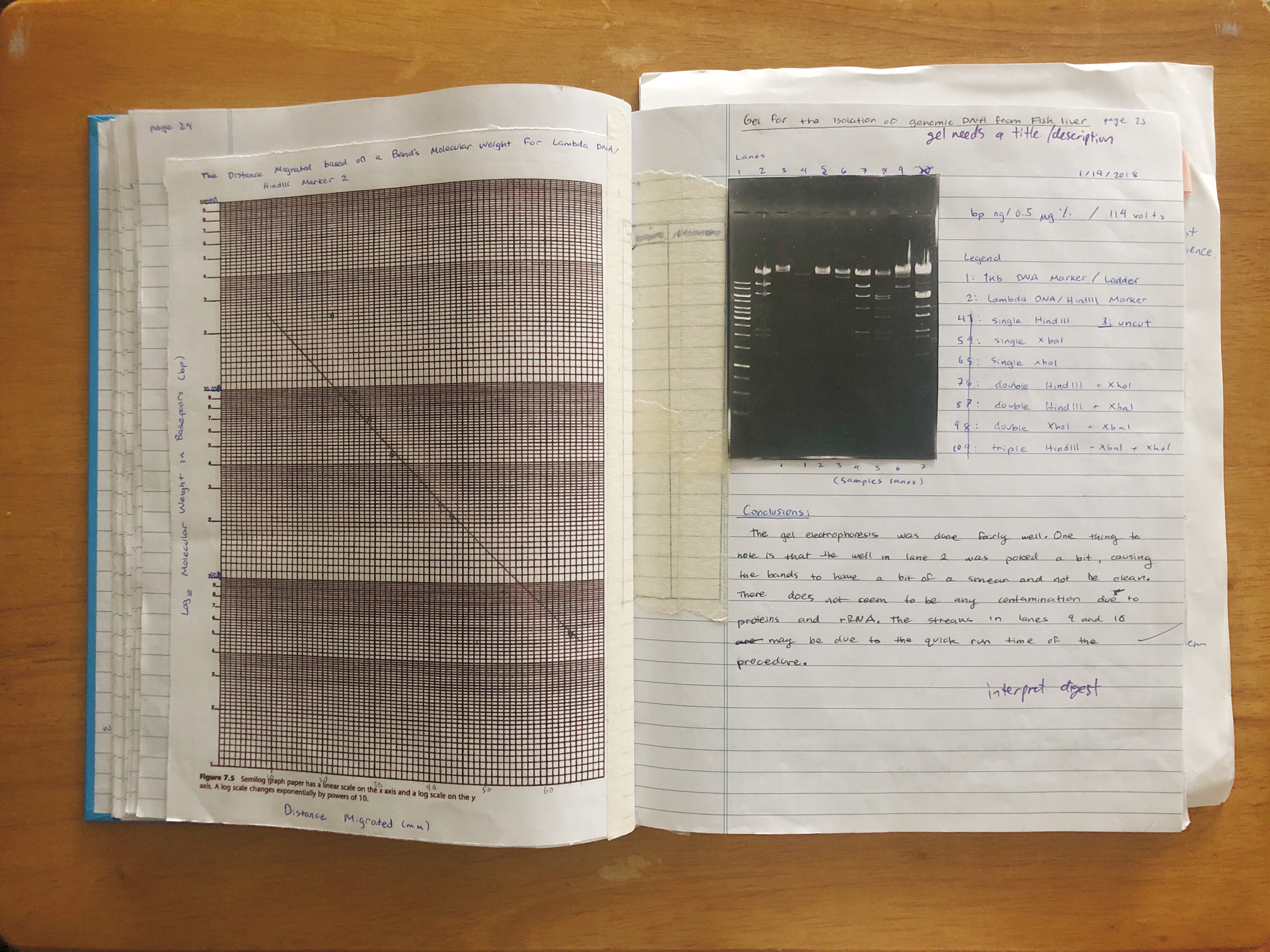 Lab Book Experiment Example An Old Lab Book – Noemi’s Corner